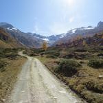 auf ihm erreichen wir schliesslich die Alp Muot Selva 2069 m.ü.M.,...