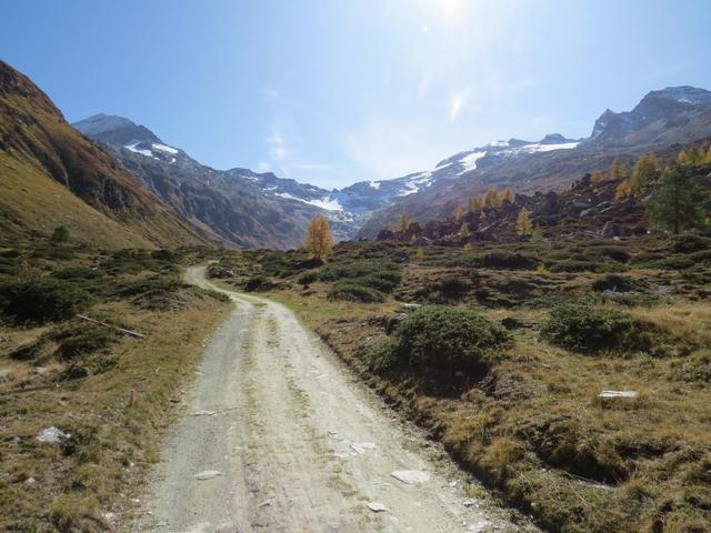 auf ihm erreichen wir schliesslich die Alp Muot Selva 2069 m.ü.M.,...