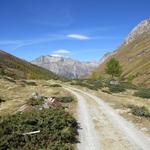 nachdem wir uns sattgesehen haben, nehmen wir den Rückweg unter die Füsse