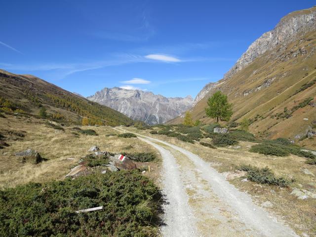 nachdem wir uns sattgesehen haben, nehmen wir den Rückweg unter die Füsse