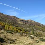 wir wandern nun Talauswärts. Links von uns erhebt sich der Muott' Ota