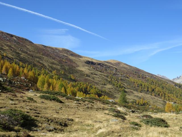 wir wandern nun Talauswärts. Links von uns erhebt sich der Muott' Ota