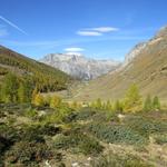 wir werden nun eines der schönsten Seitentäler des Oberengadin durchwandern