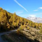 bei der Weggabelung 2030 m.ü.M. halten wir uns nicht Richtung Alp da Segl,...