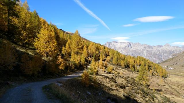 bei der Weggabelung 2030 m.ü.M. halten wir uns nicht Richtung Alp da Segl,...