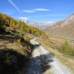 ...sondern gehen Richtung Fex-Curtins und Fex-Crasta. Bei Pro d'Alp Suot 1978 m.ü.M. überqueren wir die Fedacla