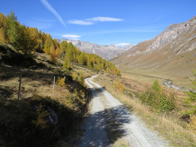 ...sondern gehen Richtung Fex-Curtins und Fex-Crasta. Bei Pro d'Alp Suot 1978 m.ü.M. überqueren wir die Fedacla