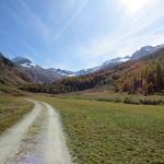 wir blicken zurück zum Talende mit dem Piz Glüschaint und Tremoggia Gletscher