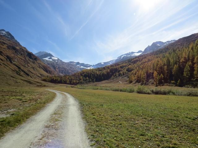 wir blicken zurück zum Talende mit dem Piz Glüschaint und Tremoggia Gletscher