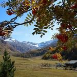 von der Terrasse geniessen wir während der Pause den Blick in die Berge...