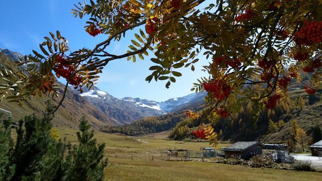 von der Terrasse geniessen wir während der Pause den Blick in die Berge...