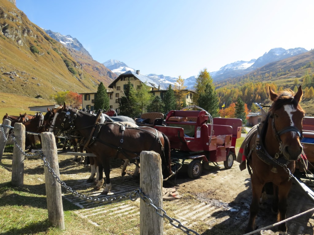 für den Rückweg nach Sils-Maria nehmen wir keine Kutsche