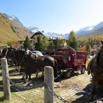 für den Rückweg nach Sils-Maria nehmen wir keine Kutsche