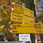 Wegweiser bei Fex Crasta 1951 m.ü.M.