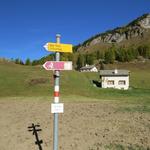 kurz nach Fex-Platta biegen wir in den Schluchtweg ein