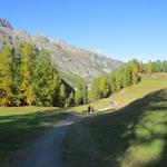 ein Stück hinter dem Ort beginnt der Weg stärker abzufallen
