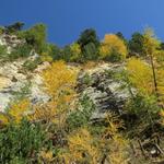 steil schiessen die Felswände in den blauen Himmel hinauf