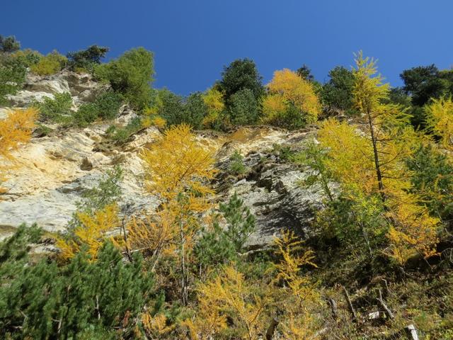 steil schiessen die Felswände in den blauen Himmel hinauf