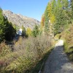 tief hat sich die Fedacla in den Fels gegraben