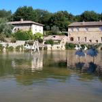 Teilstrecke 50 San Quirico d'Orcia - Beyfin-La Bisarca 14.7.2019