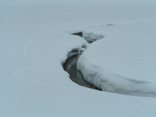 ein Bach der fast mit Schnee zugedeckt ist