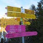 Wegweiser bei der Bergstation Turren 1520 m ü.M.