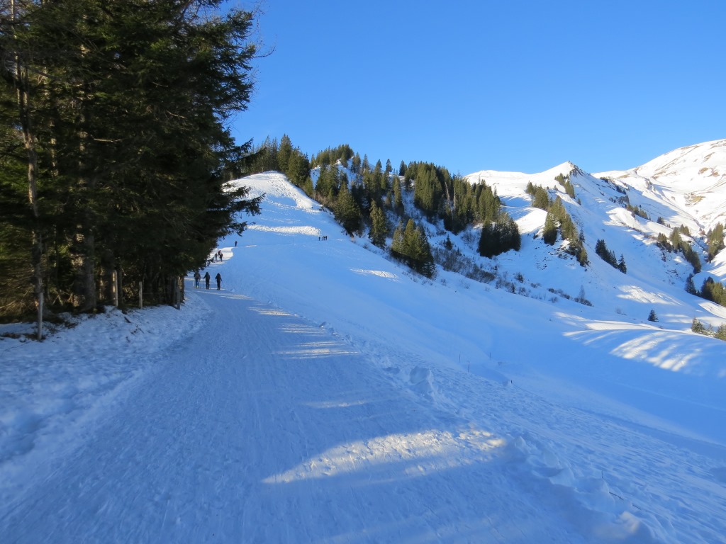 von der Bergstation Turren, folgen wir leicht ansteigend, die markierte Schneeschuhroute Richtung Schönbüel