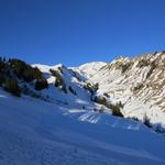 auf der anderen Talseite blicken wir Richtung Breitmatt und die Rückenegg