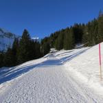 auf dem verschneiten Alpsträsschen stapfen wir südlich am Finsterbüel vorbei