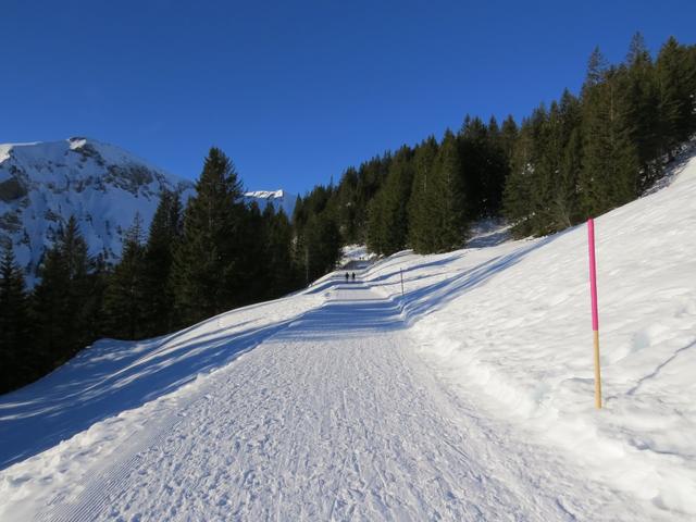 auf dem verschneiten Alpsträsschen stapfen wir südlich am Finsterbüel vorbei