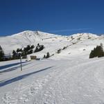 nach dem durchqueren der Sattelmatt...