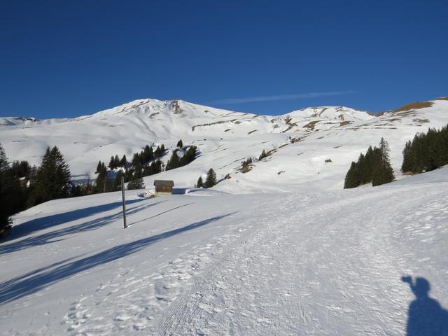 nach dem durchqueren der Sattelmatt...