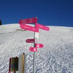 ...erreichen wir Chuematt 1626 m.ü.M. nächstes Zwischenziel lautet nun Tüfengrat