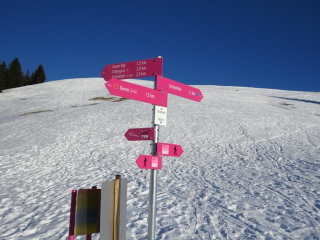 ...erreichen wir Chuematt 1626 m.ü.M. nächstes Zwischenziel lautet nun Tüfengrat