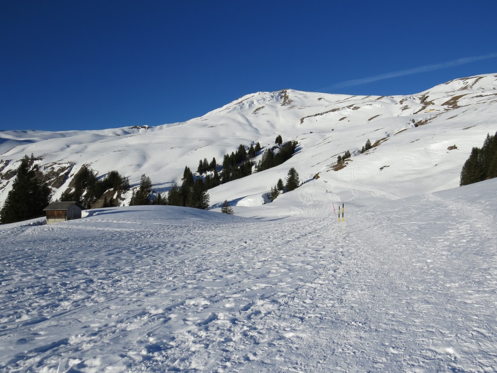 hier teilt sich die Route: Der Winterwanderweg führt nach rechts...
