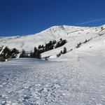 hier teilt sich die Route: Der Winterwanderweg führt nach rechts...