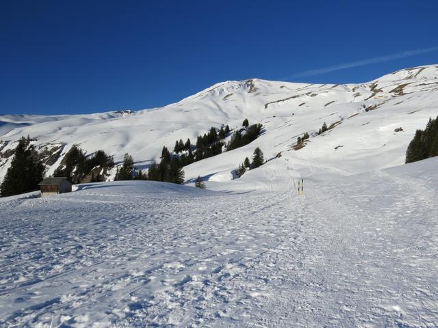 hier teilt sich die Route: Der Winterwanderweg führt nach rechts...