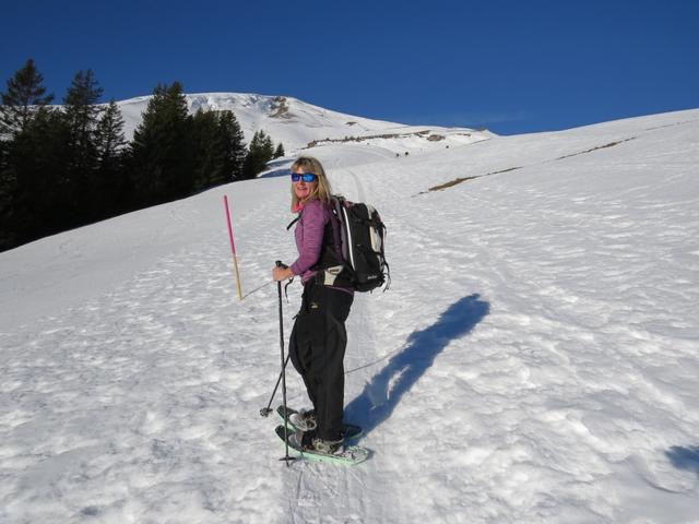 ... der Schneeschuhpfad nach links
