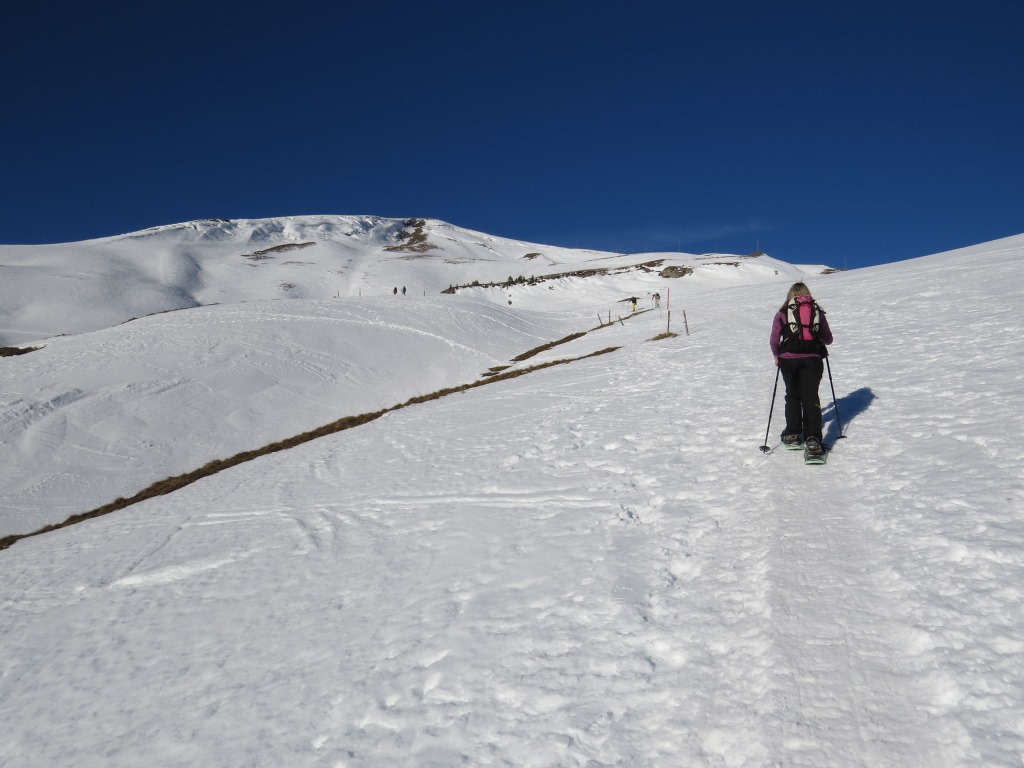 wie eingeplant verlassen wir den Winterwanderweg und biegen linkshaltend in den Schneeschuhpfad ein