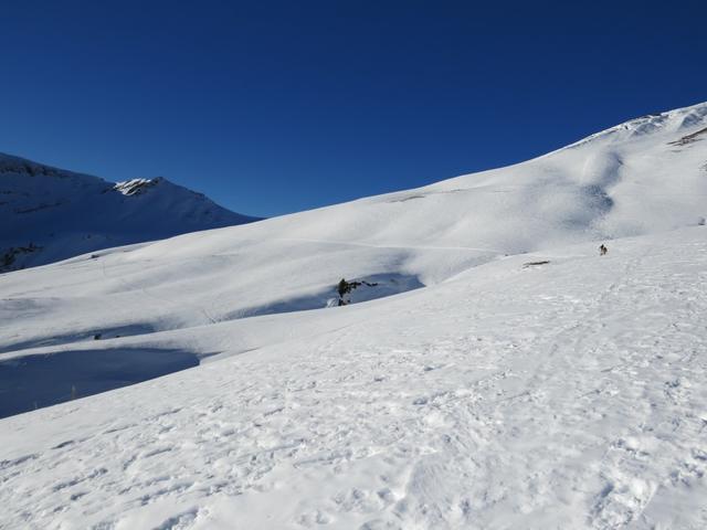 vor uns liegt die Üsseri Alp, die wir nun durchqueren werden