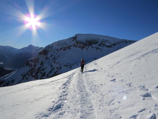 der Schneeschuhpfad führt uns entlang der Mülimäsplatten...