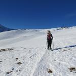 ...und umrundet das steil abfallende Lauibachtobel grossräumig