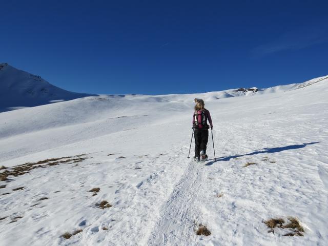 ...und umrundet das steil abfallende Lauibachtobel grossräumig