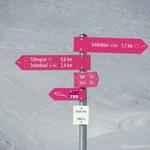 wir laufen in südlicher Richtung weiter Richtung Tüfengrat