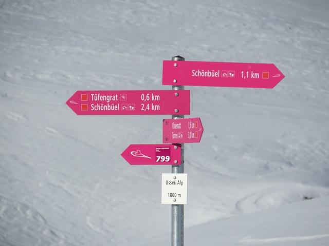 wir laufen in südlicher Richtung weiter Richtung Tüfengrat