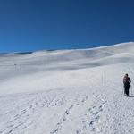 die ganze Schneeschuhtour ist sehr gut beschildert