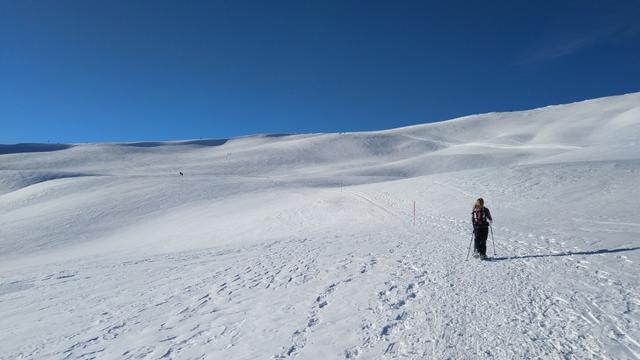 die ganze Schneeschuhtour ist sehr gut beschildert