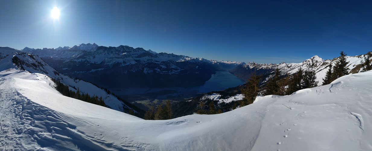 sehr schönes Breitbildfoto mit Blick auf die Berner Hochalpen...