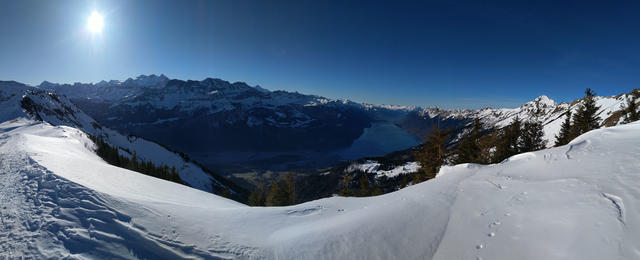 sehr schönes Breitbildfoto mit Blick auf die Berner Hochalpen...