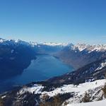 ...und hinunter zum tiefblauen Brienzersee